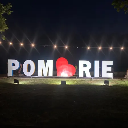 Apartament Festival