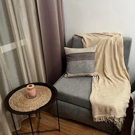 Apartament Festival